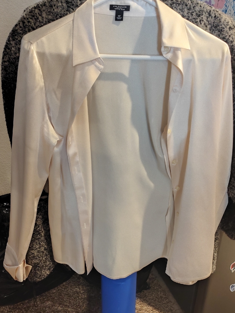 Ann Taylor Pale Cream Silk Button-Front Blouse